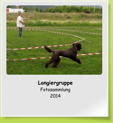 Longiergruppe Fotosammlung 2014