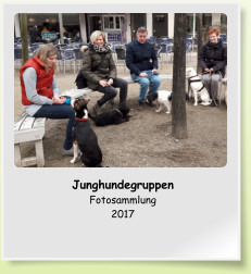 Junghundegruppen Fotosammlung 2017