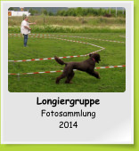 Longiergruppe Fotosammlung 2014