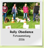 Rally Obedience Fotosammlung 2016